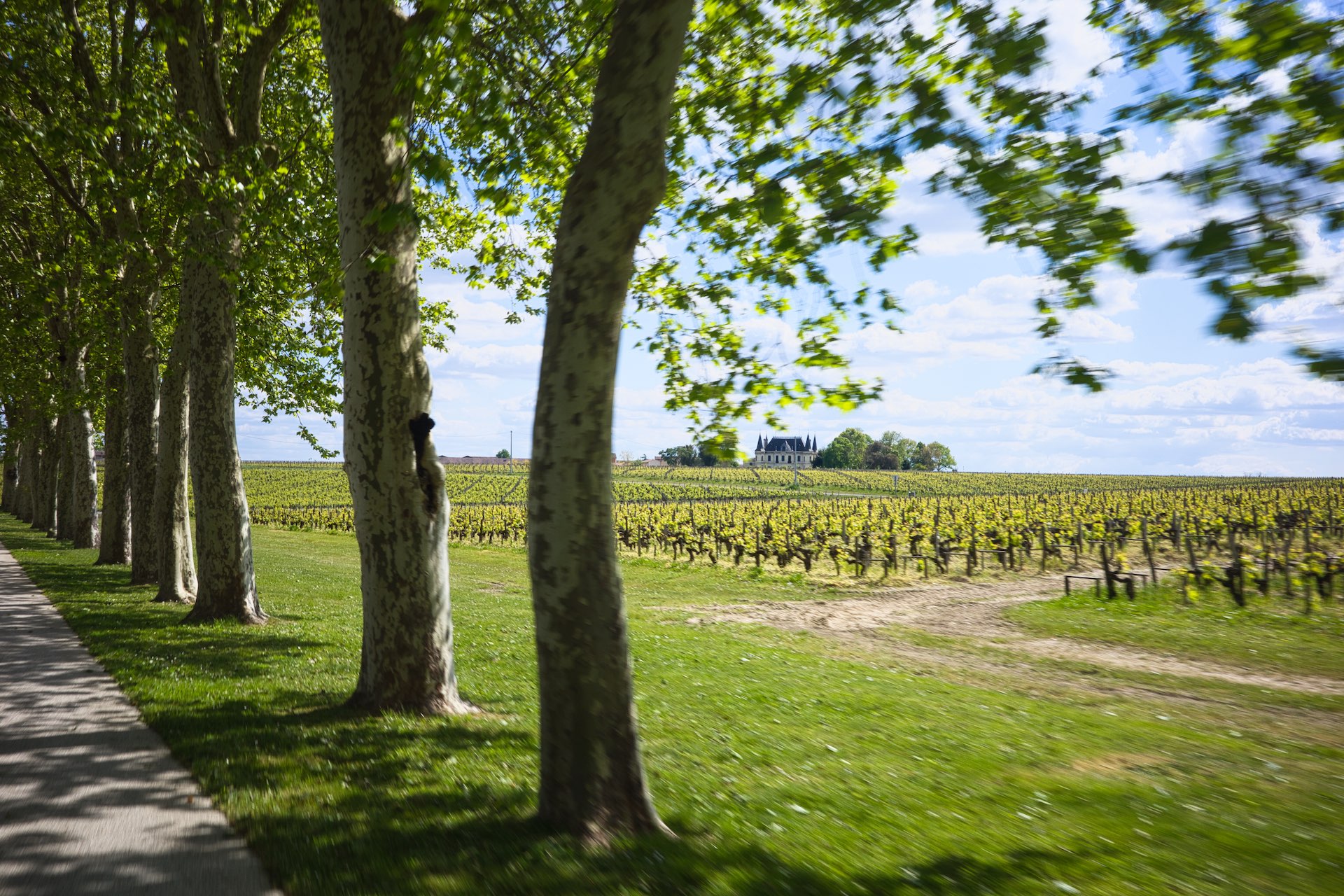 Margaux